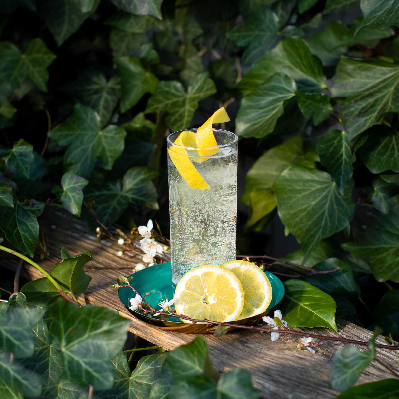 Gin & Tonic